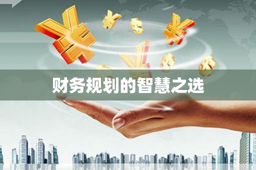 新乐财务规划的智慧之选