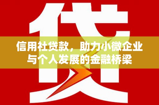 湖内信用社贷款，助力小微企业与个人发展的金融桥梁