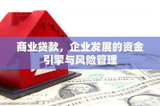 全南商业贷款，企业发展的资金引擎与风险管理