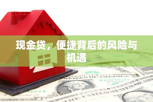 丰顺现金贷，便捷背后的风险与机遇