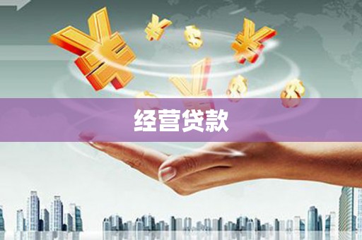 灌阳经营贷款