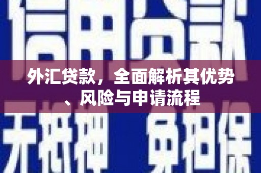 佳县外汇贷款，全面解析其优势、风险与申请流程