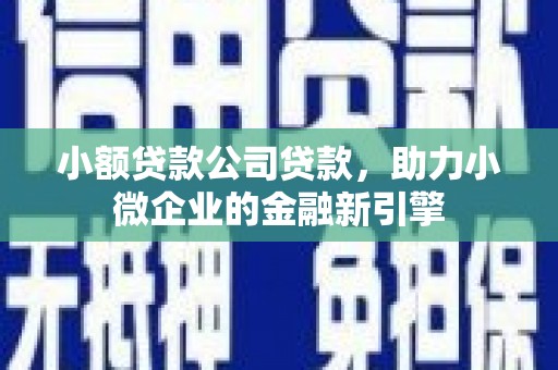 竹崎小额贷款公司贷款，助力小微企业的金融新引擎