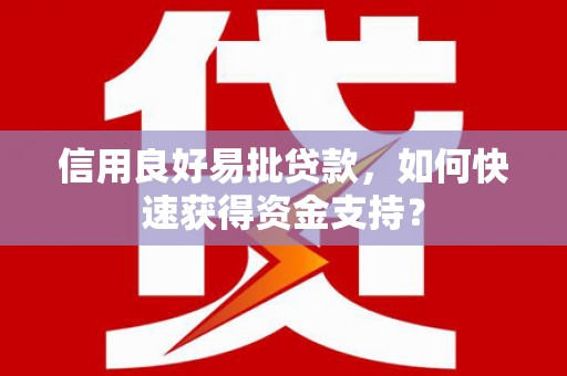 永德信用良好易批贷款，如何快速获得资金支持？