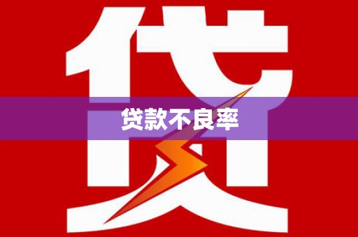 永靖贷款不良率