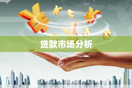 新华贷款市场分析