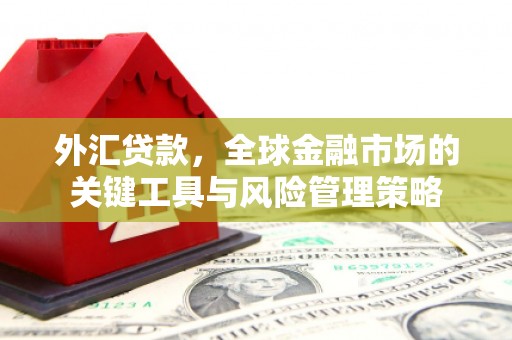 滑县外汇贷款，全球金融市场的关键工具与风险管理策略