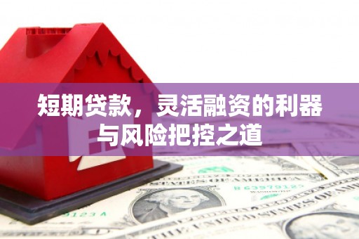 刚察短期贷款，灵活融资的利器与风险把控之道