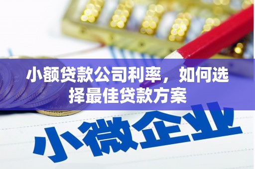 永新小额贷款公司利率，如何选择最佳贷款方案