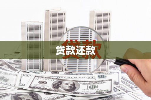 萨嘎贷款还款