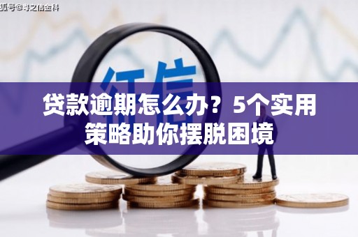 仙游贷款逾期怎么办？5个实用策略助你摆脱困境
