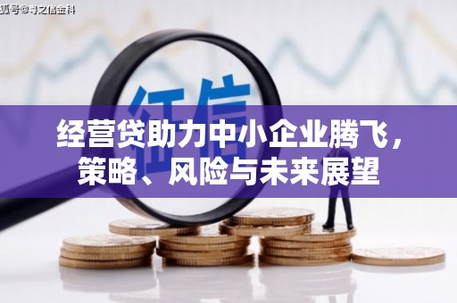 张家港经营贷助力中小企业腾飞，策略、风险与未来展望