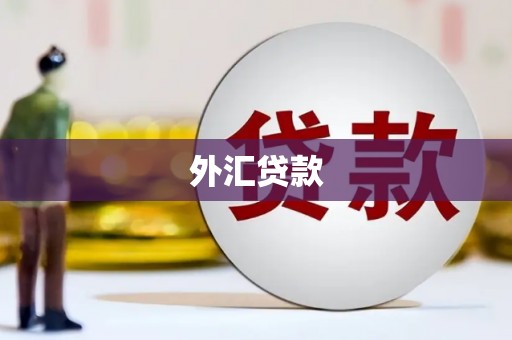 璧山外汇贷款