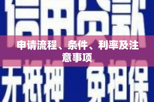 白水申请流程、条件、利率及注意事项