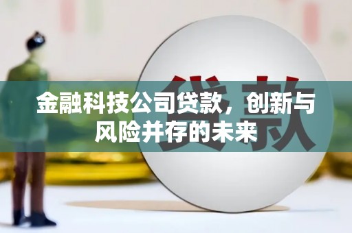 海伦金融科技公司贷款，创新与风险并存的未来