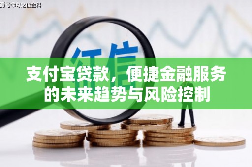 阿里山支付宝贷款，便捷金融服务的未来趋势与风险控制