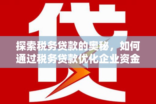 南涧探索税务贷款的奥秘，如何通过税务贷款优化企业资金流
