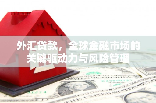 伊宁外汇贷款，全球金融市场的关键驱动力与风险管理