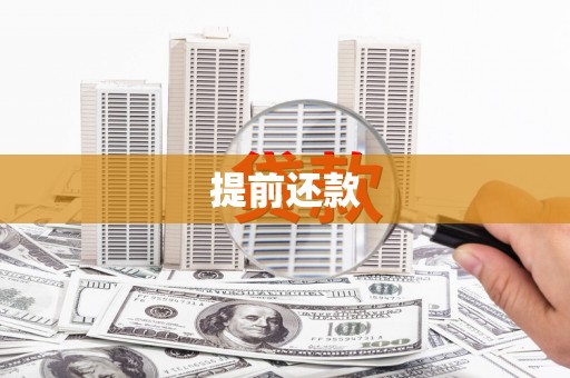 海盐提前还款