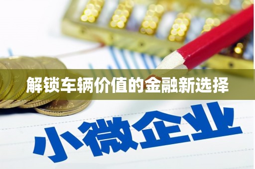 平南解锁车辆价值的金融新选择