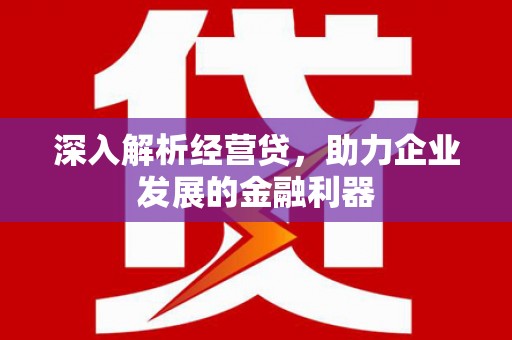 丹巴深入解析经营贷，助力企业发展的金融利器