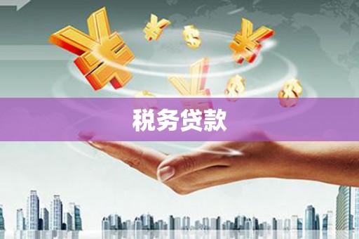 新晃税务贷款