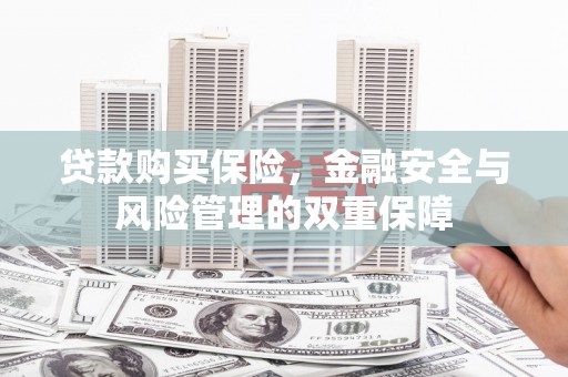 苍南贷款购买保险，金融安全与风险管理的双重保障