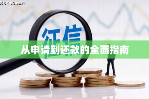 萍乡从申请到还款的全面指南