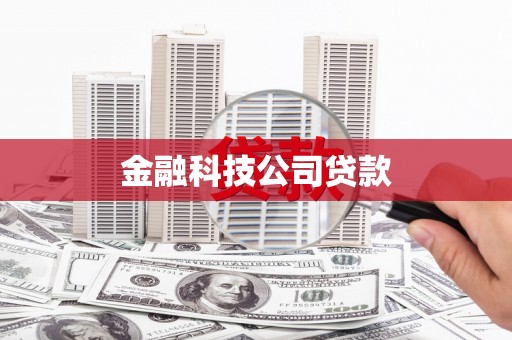 岭东金融科技公司贷款