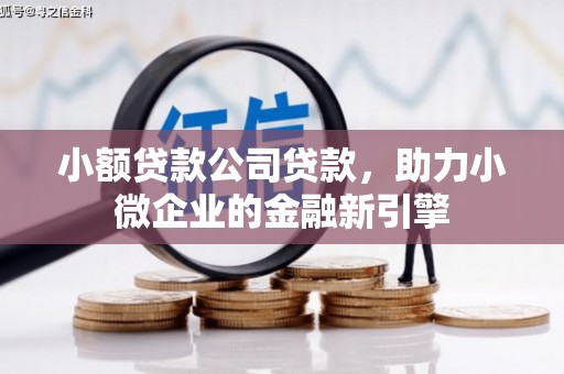 蔡甸小额贷款公司贷款，助力小微企业的金融新引擎