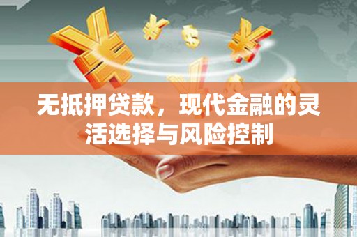 大渡口无抵押贷款，现代金融的灵活选择与风险控制