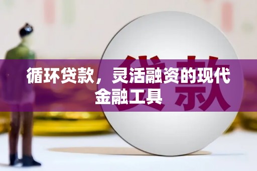 东乌旗循环贷款，灵活融资的现代金融工具