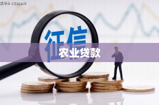 肥乡农业贷款