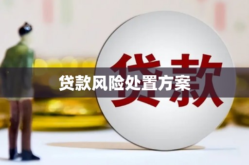 戚墅堰贷款风险处置方案