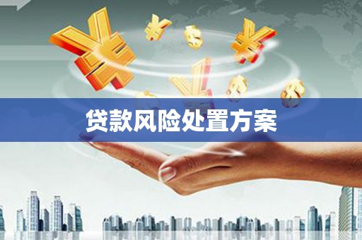 昔阳贷款风险处置方案