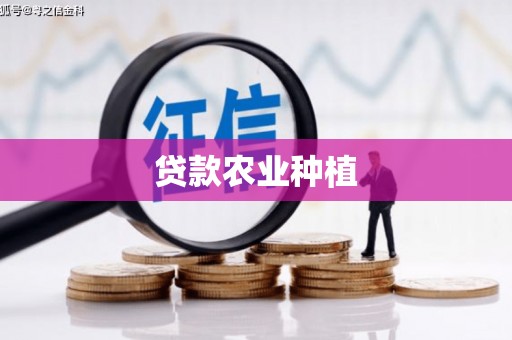 松江贷款农业种植