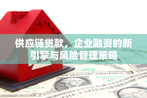 肃北供应链贷款，企业融资的新引擎与风险管理策略