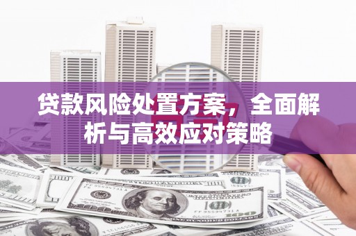 龙文贷款风险处置方案，全面解析与高效应对策略