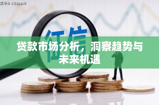 呼兰贷款市场分析，洞察趋势与未来机遇