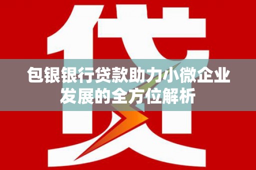太麻里包银银行贷款助力小微企业发展的全方位解析