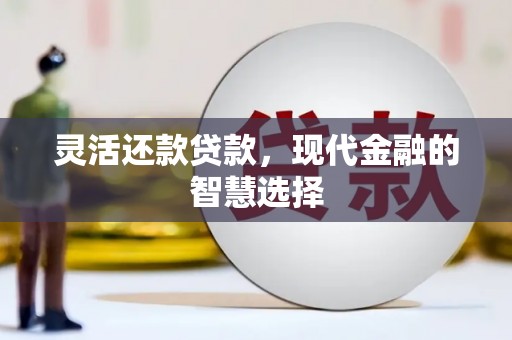 集美灵活还款贷款，现代金融的智慧选择