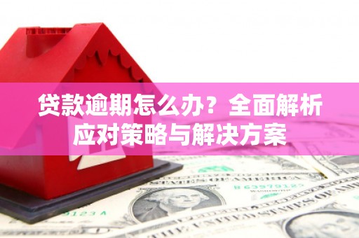 海宁贷款逾期怎么办？全面解析应对策略与解决方案