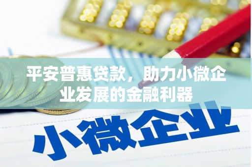 海安平安普惠贷款，助力小微企业发展的金融利器
