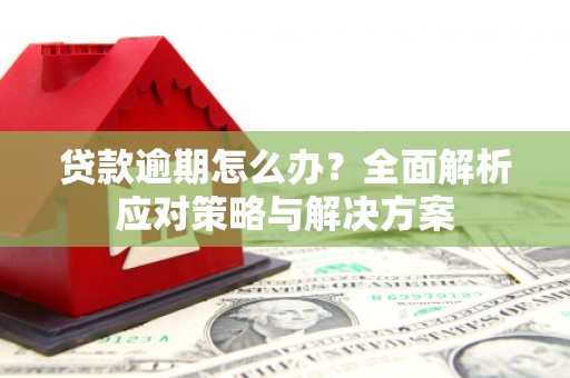 随州贷款逾期怎么办？全面解析应对策略与解决方案