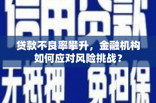 金昌贷款不良率攀升，金融机构如何应对风险挑战？