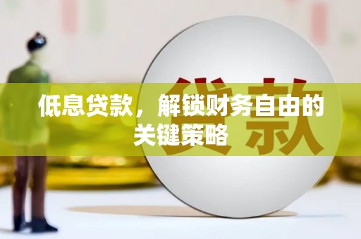日土低息贷款，解锁财务自由的关键策略
