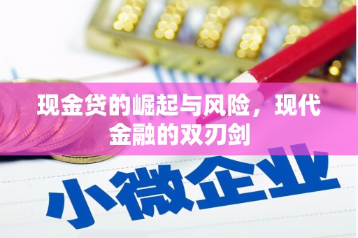 中原现金贷的崛起与风险，现代金融的双刃剑