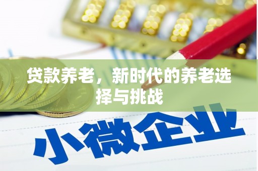 呼玛贷款养老，新时代的养老选择与挑战
