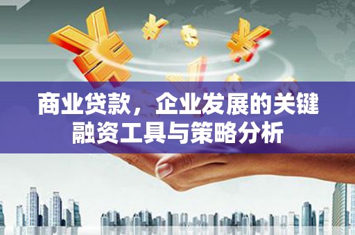 勐海商业贷款，企业发展的关键融资工具与策略分析