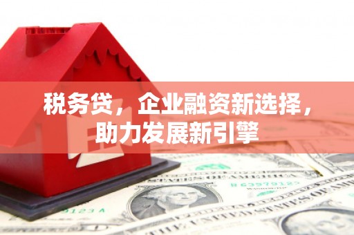三元税务贷，企业融资新选择，助力发展新引擎